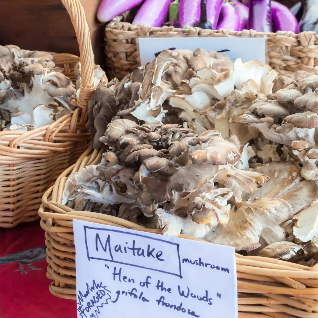 maitake mushroom in a basket at a farm stand with a sign reading: "foraged maitake (hen of the woods)" 