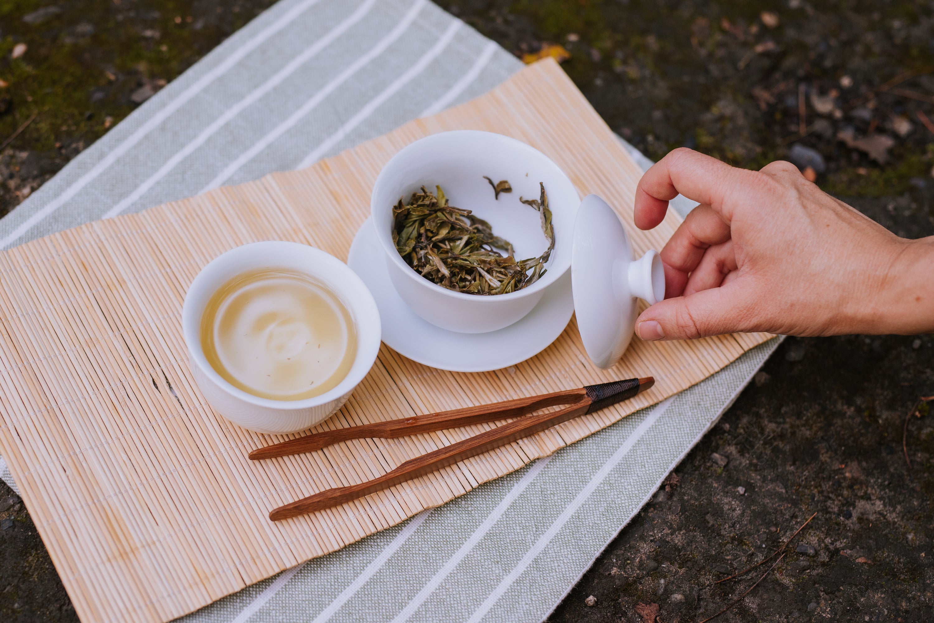 hand setting lid of gaiwan to side after pouring cup of white tea