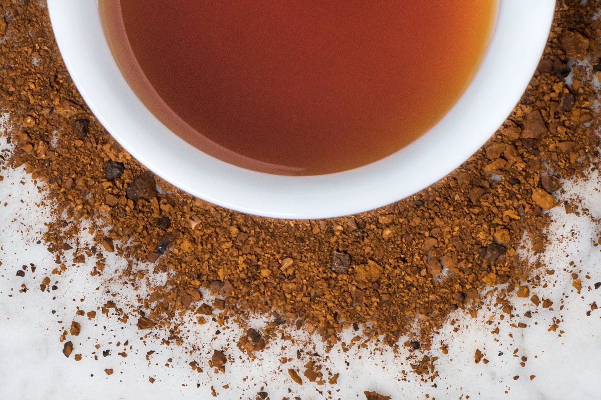 Adirondack Chaga grounds and brewed tea. Coarsely ground, brown chaga mushroom surrounds a cup with dark, reddish-brown brewed chaga. 