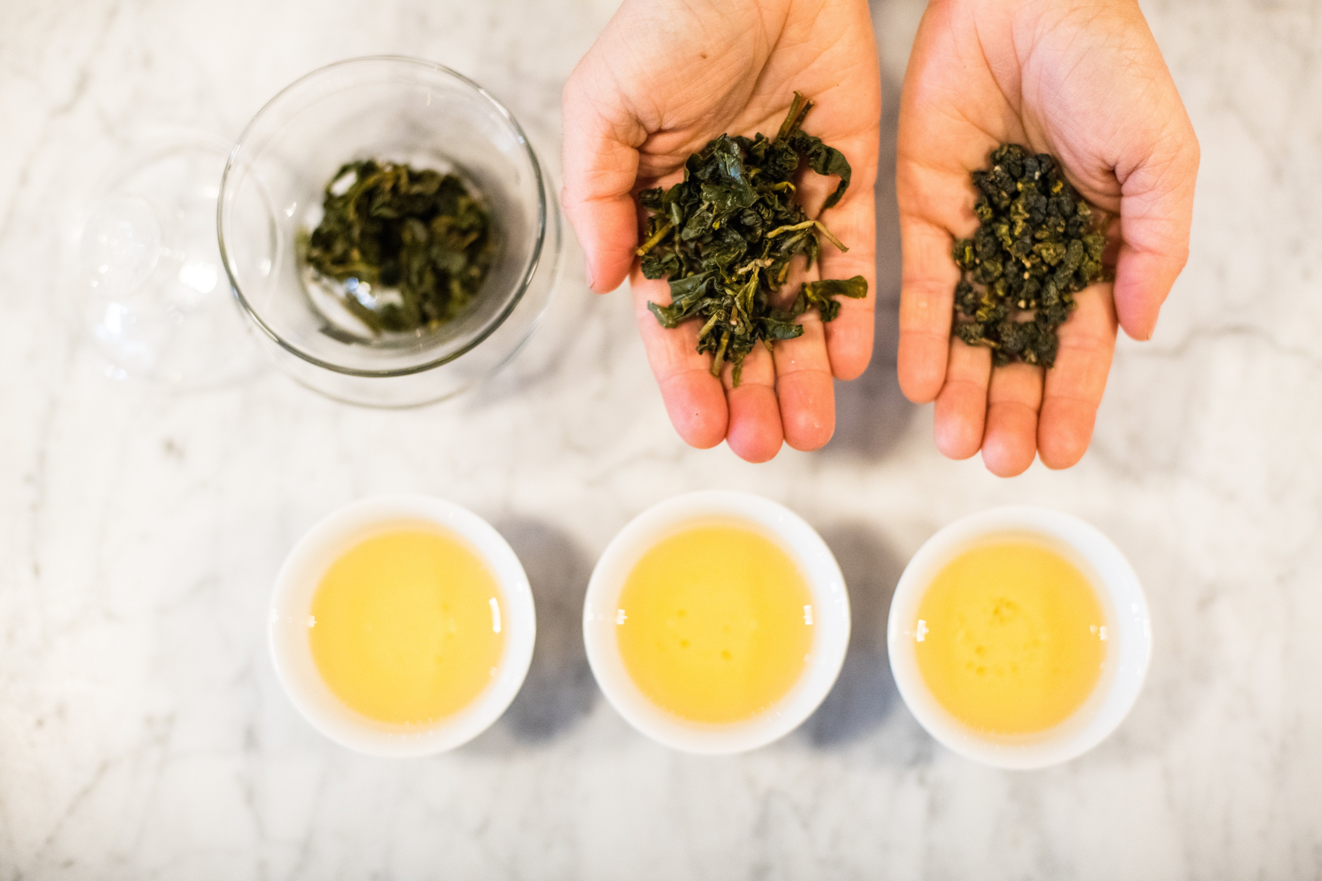 woman showing brewed and dry rolled Taiwanese oolongs in her palms in front of small white cups of brewed tea