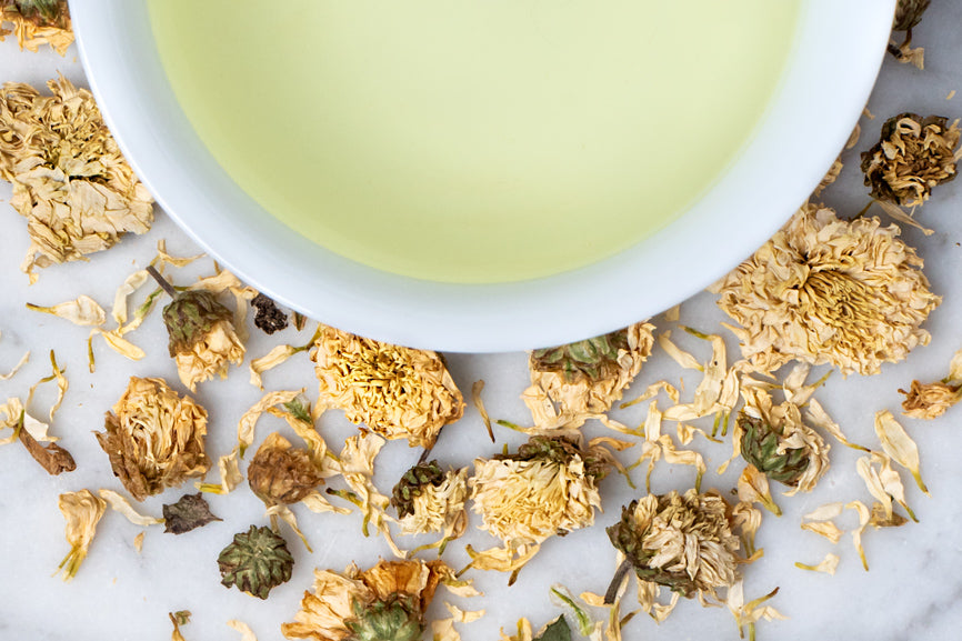 Chrysanthemum Flowers dried flowers and brewed tea. Delicate full chrysanthemum flowers surround a brewed cup of very pale yellow tea.