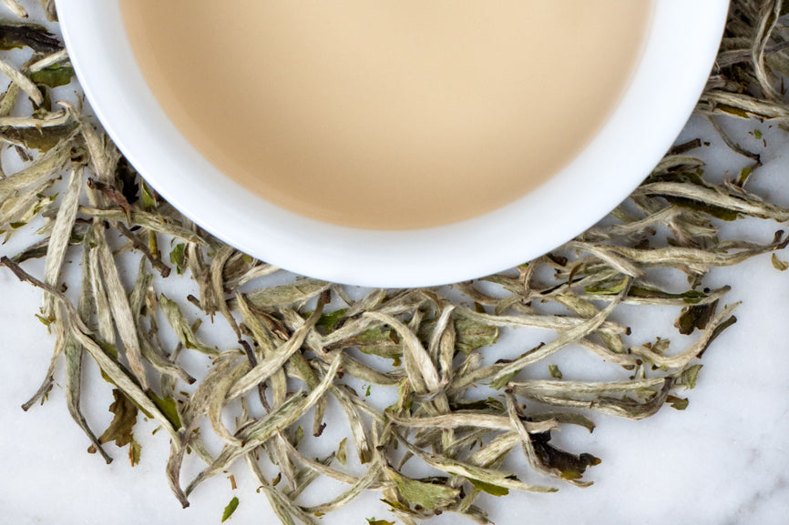 Jingning Yin Zhen Silver Needle white tea leaves and brewed tea. Downy silver tea buds surround a cup of pale peach brewed tea.